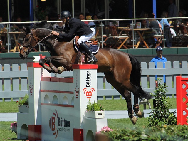 但在随后的 但在随后的